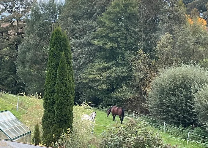 Maison Bibc, 63qm, 1 Schlafzimmer *